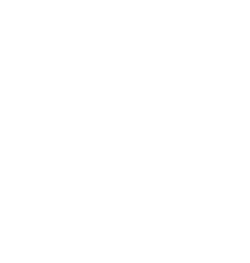 Amphenol-logo 02